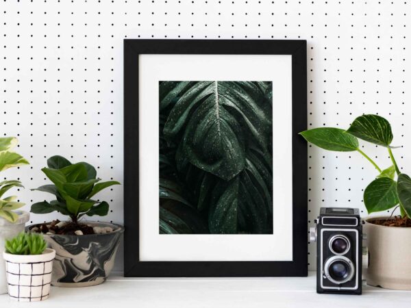 Framed Photo & Poster Prints